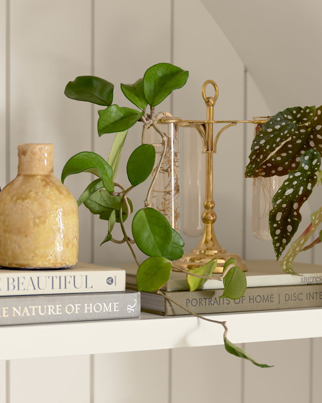 Mavelle Solid Brass Antique Inspired Propagation Stand decorative accent