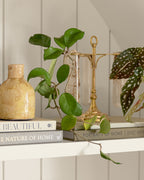 Mavelle Solid Brass Antique Inspired Propagation Stand decorative accent