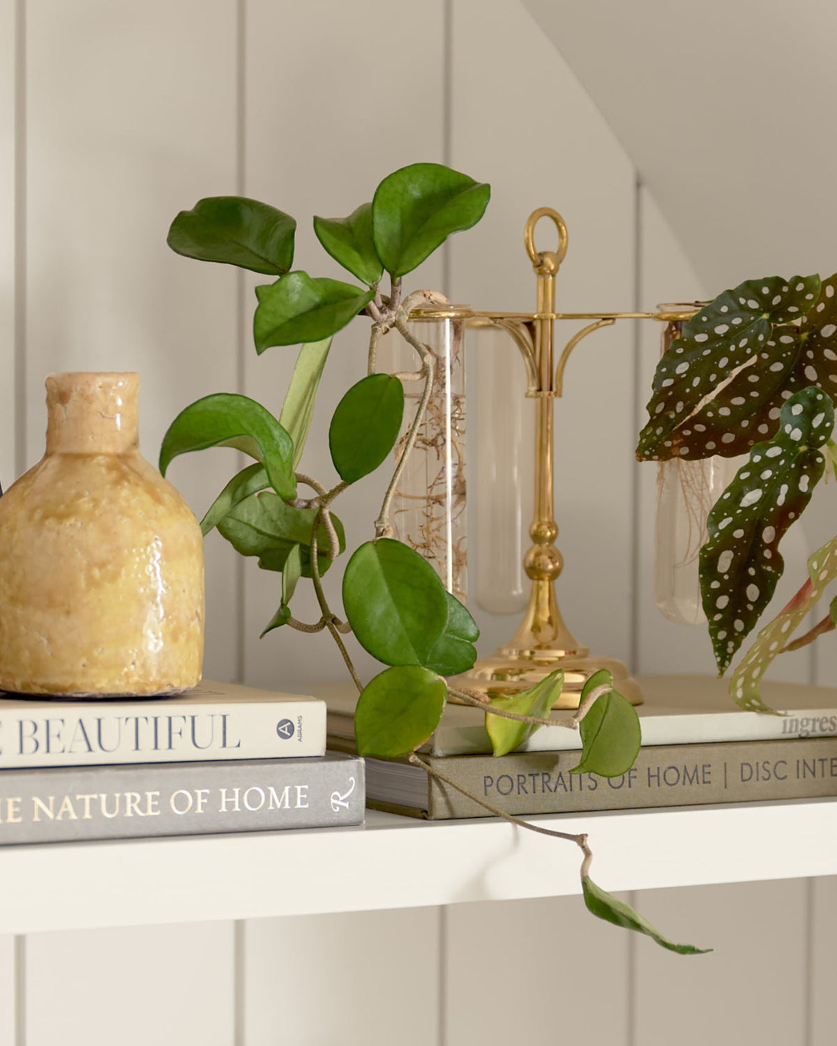 Mavelle Solid Brass Antique Inspired Propagation Stand decorative accent