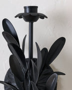 Mavelle Gracie Wall Sconce wall sconce - Close-Up