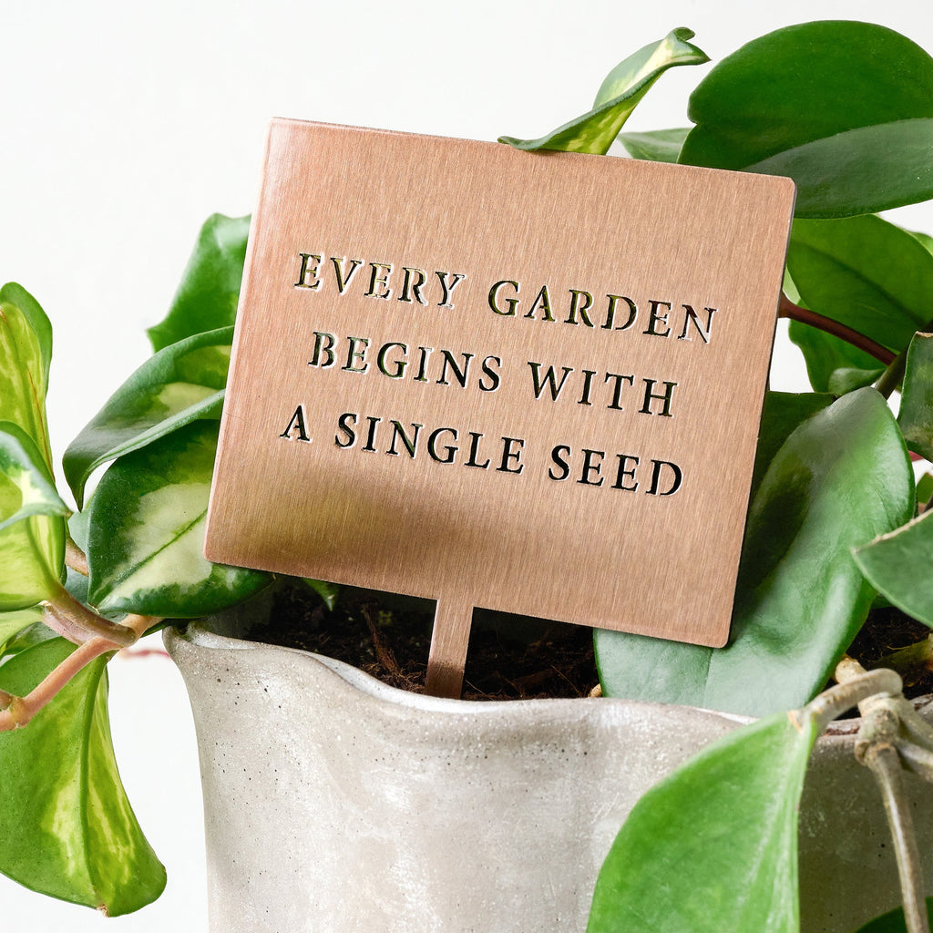 Mavelle Single Seed Mini Garden Stake planter - Detail View