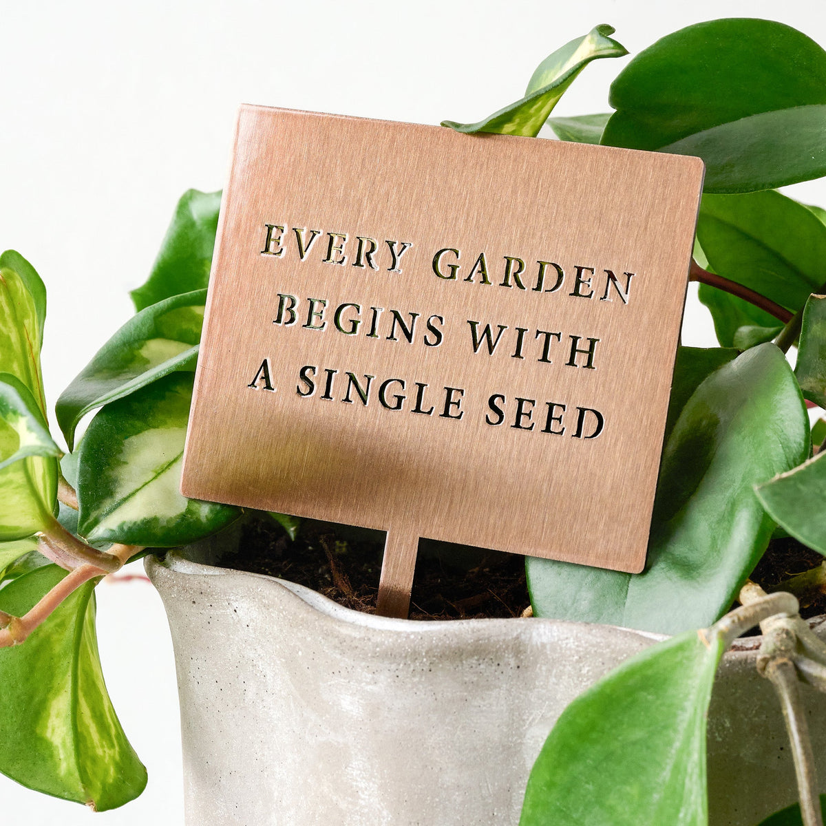 Mavelle Single Seed Mini Garden Stake planter - Detail View