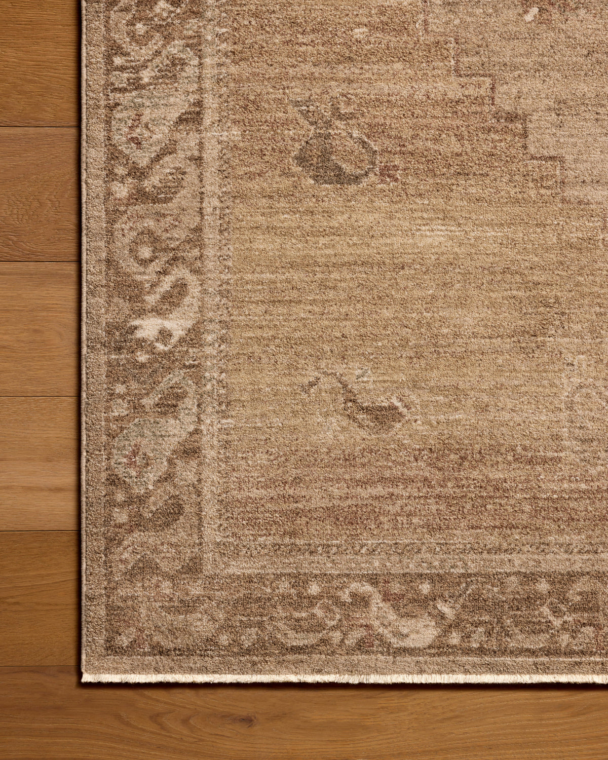 Mavelle Storrie Spice Beige area rug - Close-Up