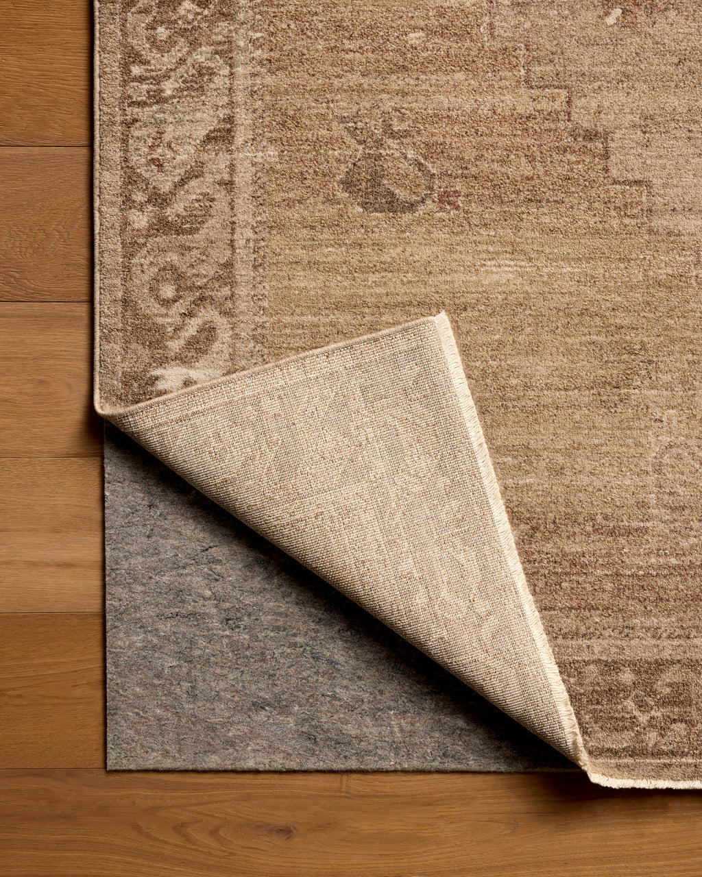 Mavelle Storrie Spice Beige area rug - Alternate View