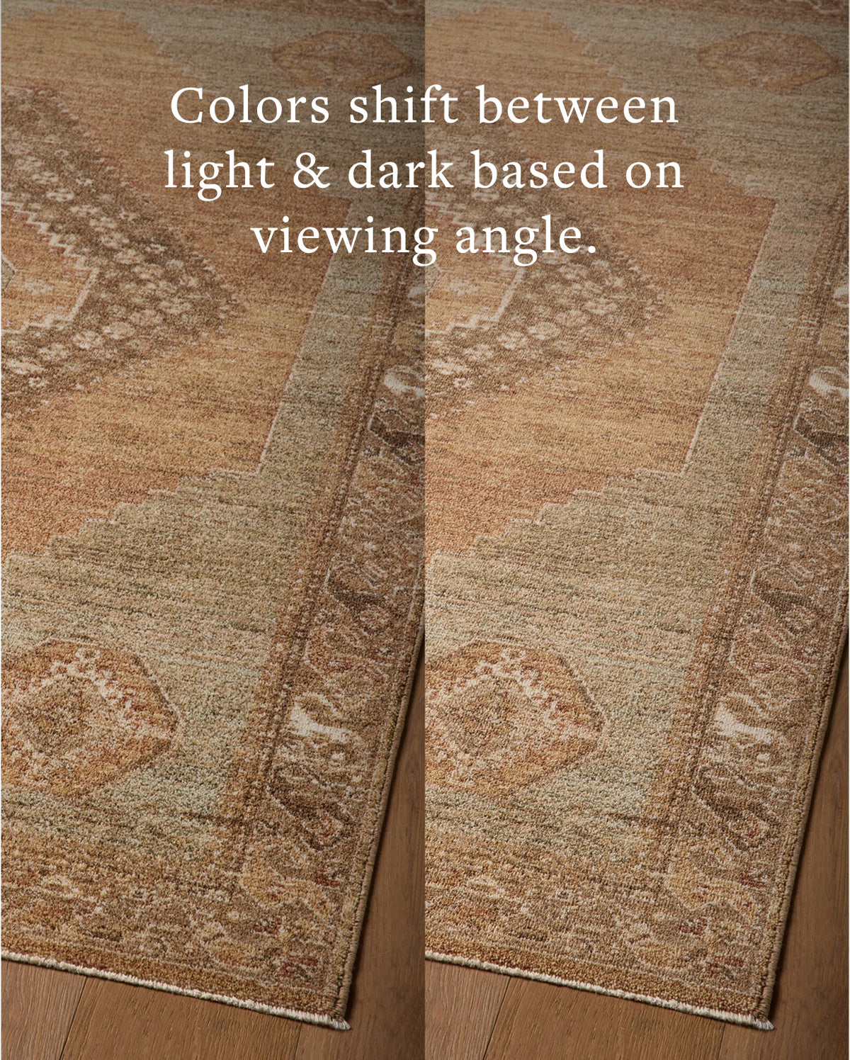 Mavelle Storrie Brown Multi area rug