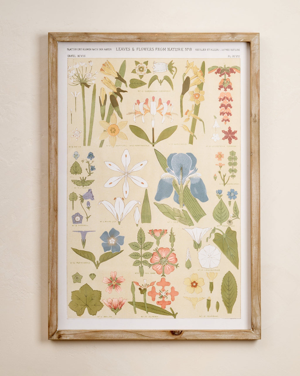 Mavelle Antique Botanical Study II Framed Art framed wall art - Detail View