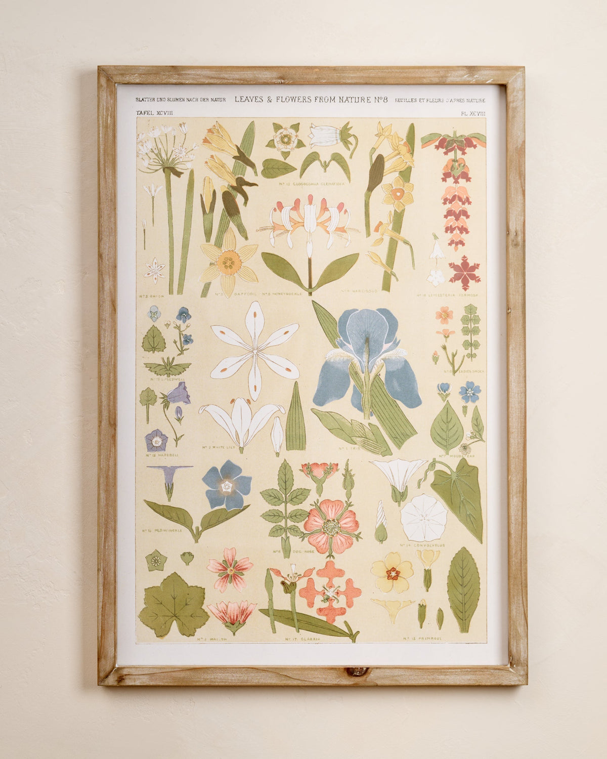 Mavelle Antique Botanical Study II Framed Art framed wall art - Detail View