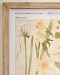 Mavelle Antique Botanical Study II Framed Art framed wall art