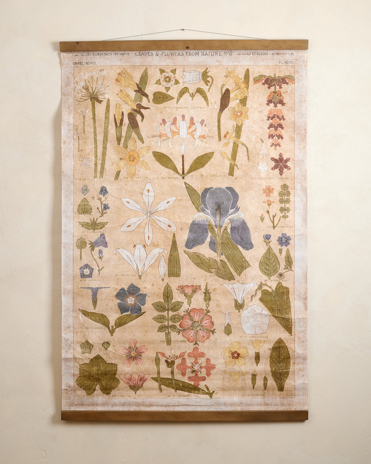 Mavelle Antique Botanical Study II Tapestry wall tapestry