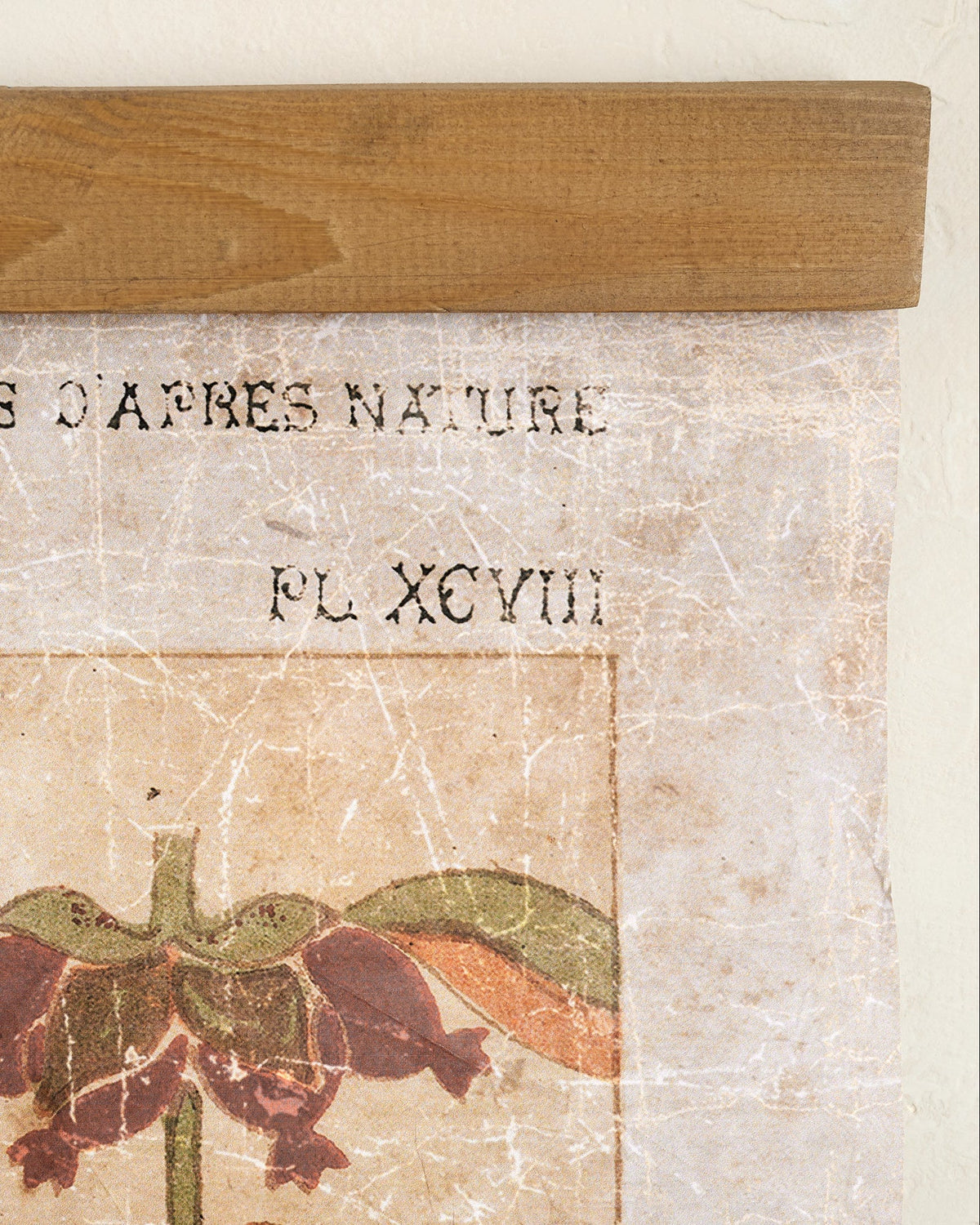 Mavelle Antique Botanical Study II Tapestry wall tapestry - Styled in Room