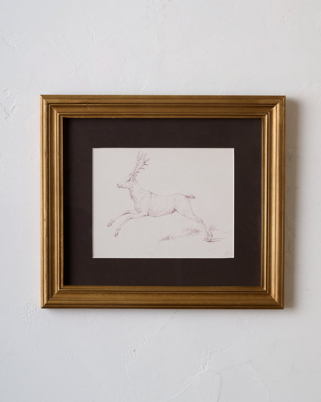 Mavelle Woodland Deer Sketch framed wall art