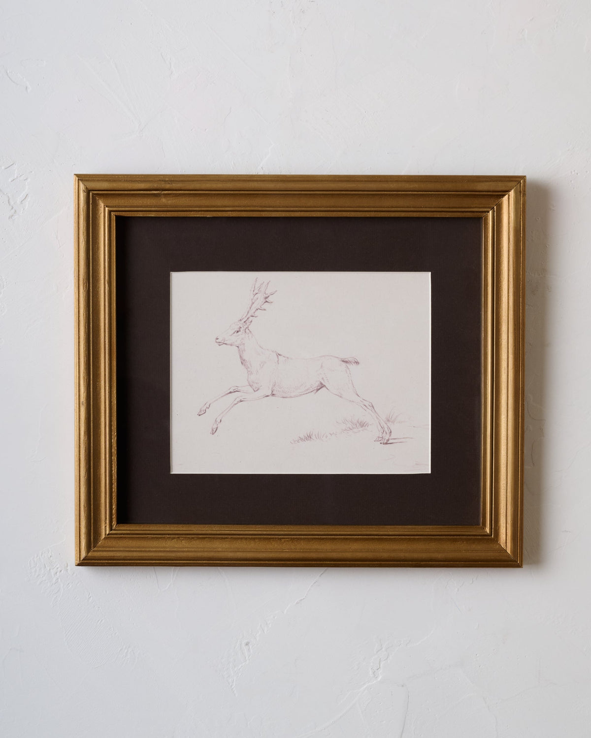 Mavelle Woodland Deer Sketch framed wall art