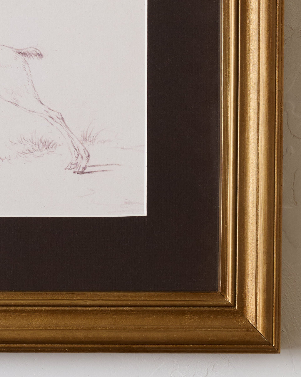 Mavelle Woodland Deer Sketch framed wall art - Styled in Room
