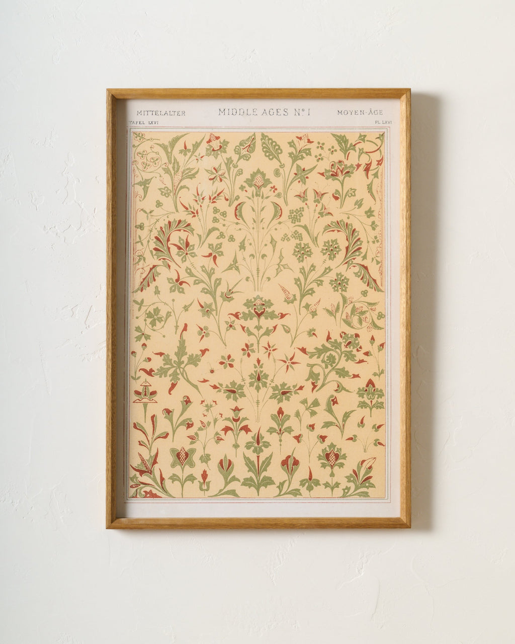 Mavelle Botanical Renaissance Poster framed wall art