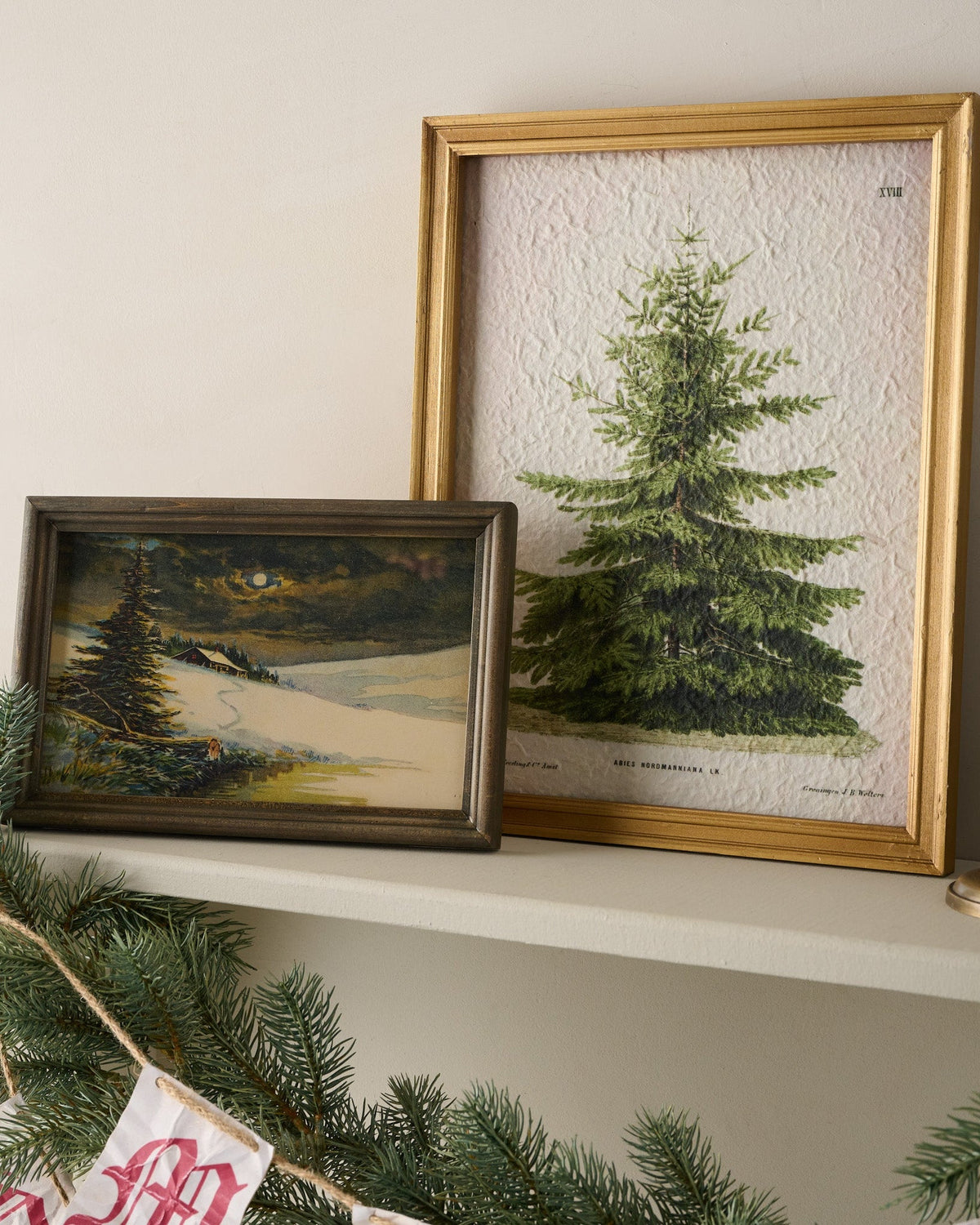 Mavelle Vintage Christmas Fir Print framed wall art