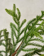 Mavelle Real Touch Norfolk Pine Spray faux floral stem - Styled in Room