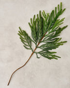 Mavelle Real Touch Norfolk Pine Spray faux floral stem