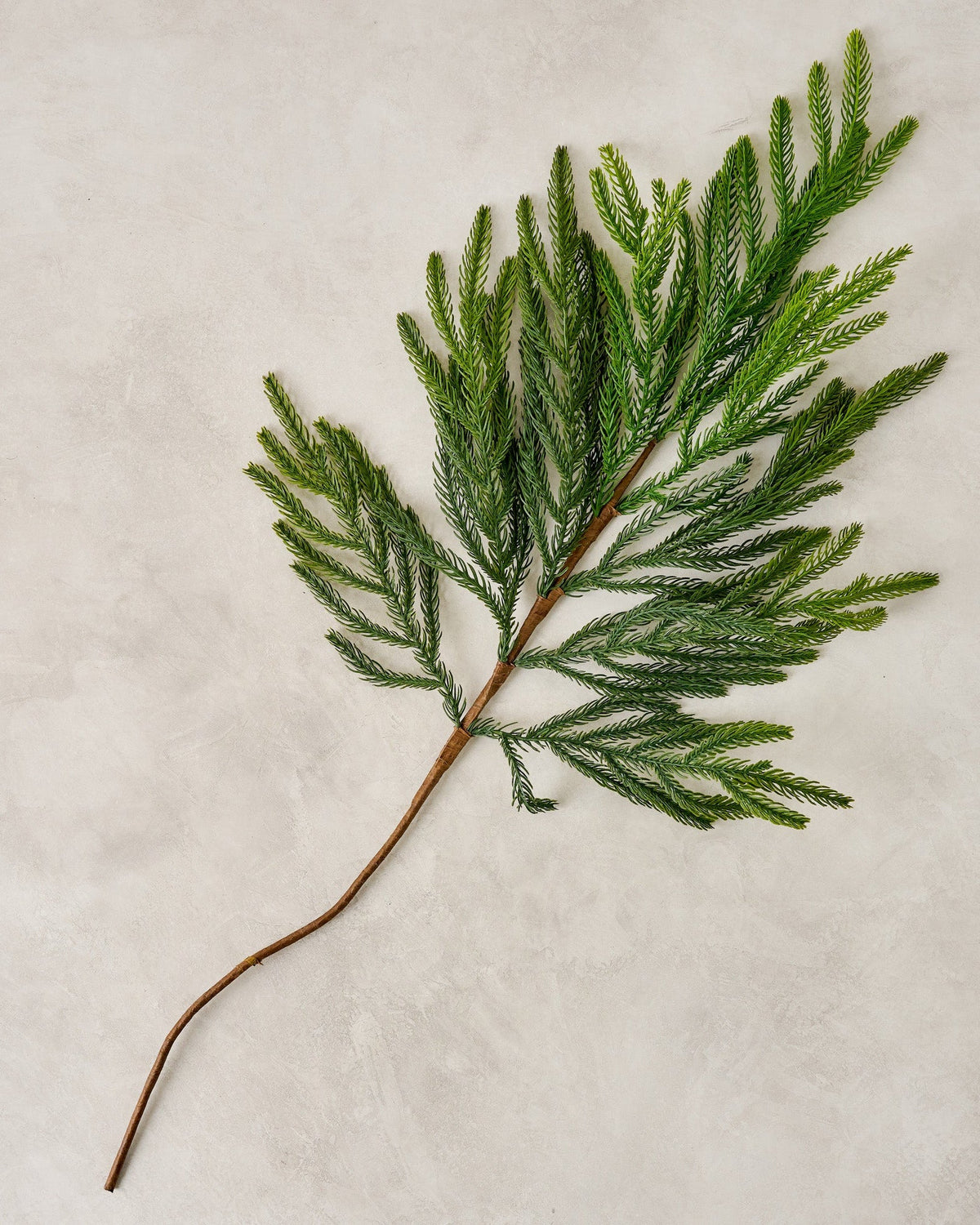 Mavelle Real Touch Norfolk Pine Spray faux floral stem