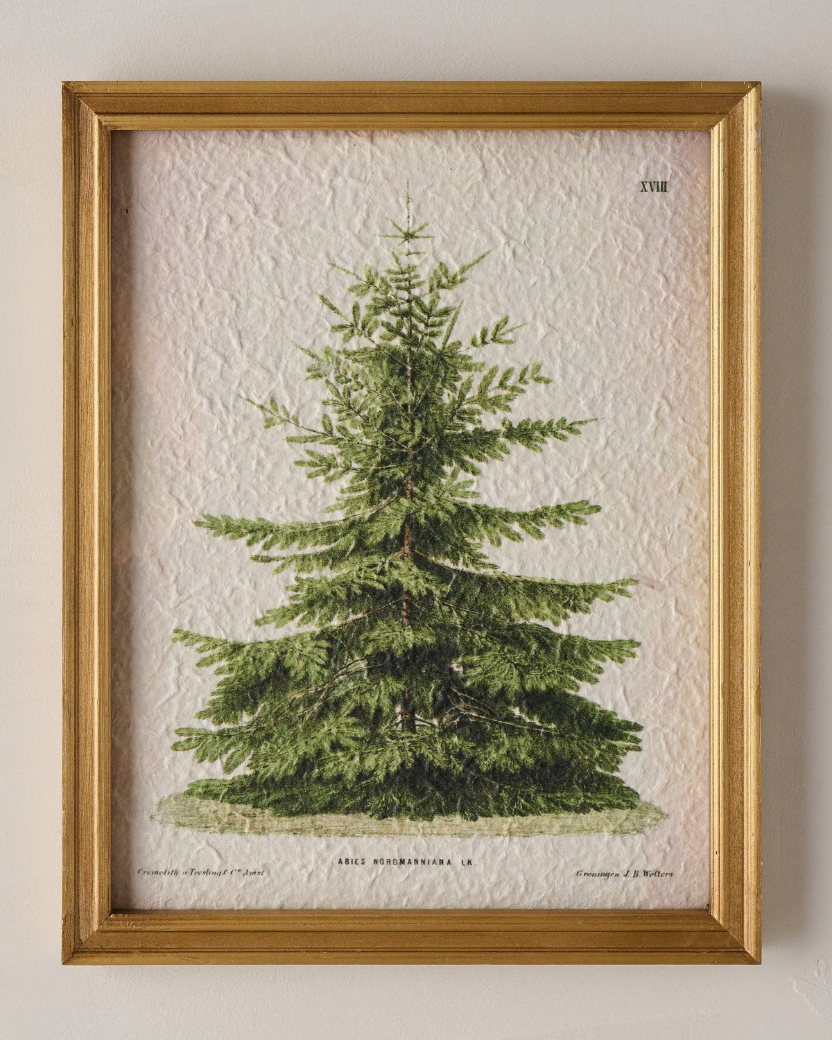 Mavelle Vintage Christmas Fir Print framed wall art - Detail View