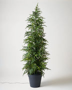 Mavelle Real Touch Norfolk Pine Pre-Lit Potted Tree faux floral stem