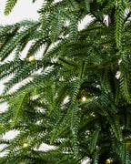 Mavelle Real Touch Norfolk Pine Pre-Lit Potted Tree faux floral stem - Close-Up