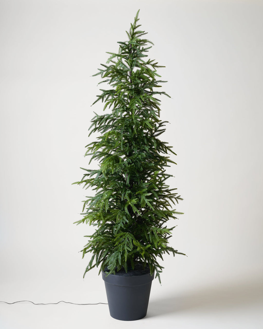 Mavelle Real Touch Norfolk Pine Pre-Lit Potted Tree faux floral stem - Styled in Room