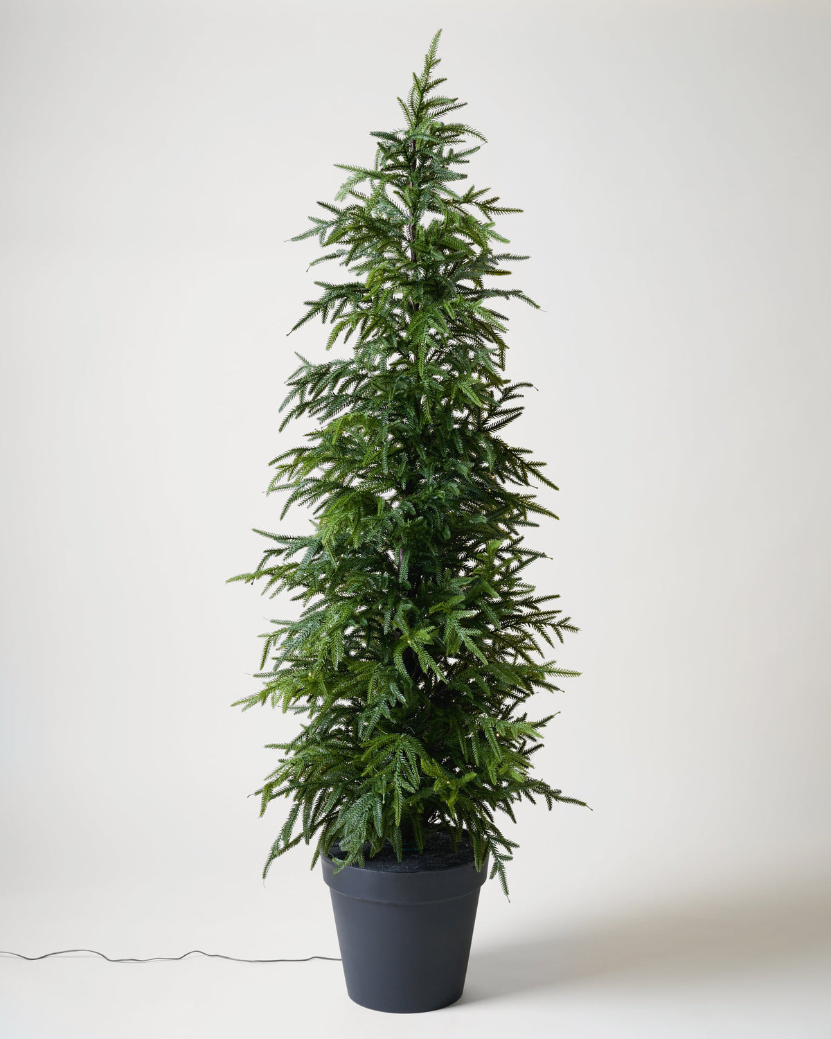 Mavelle Real Touch Norfolk Pine Pre-Lit Potted Tree faux floral stem - Styled in Room